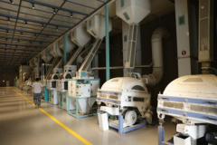 正江经销商所言：“‘吉珍’大米的质量无可挑