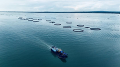 焦海洋牧场、仓储等粮食多个环节环节